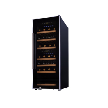 Cheapest dual zone wine fridge