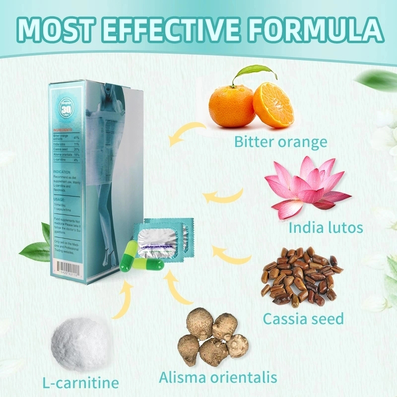 OEM/ODM Vegan Detox Capsules Slimming Capsules Diet Natural Extract Fat Burning Weight Loss Capsules