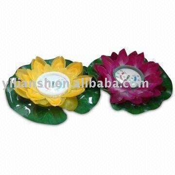 Household Floating Water Thernometer