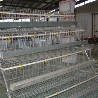 A Type Pullet Equipment