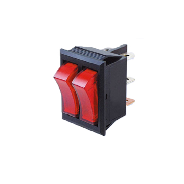 Dual Double Illuminated Rocker Switch