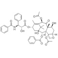 파클리탁셀 CAS 33069-62-4