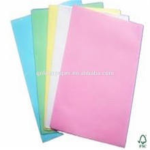 NCR paper/carbonless paper roll