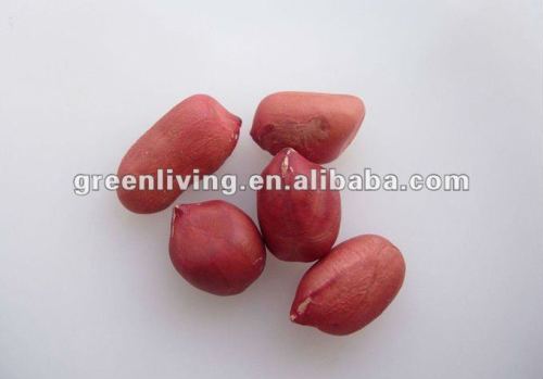 red skin peanut kernel producer
