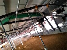 Pan Feeding equipment(Uniform feeds distribution)