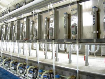 dairy process milk factory