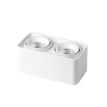 2x12w 24w Rectangular Surface Mounted Led Down Lighting