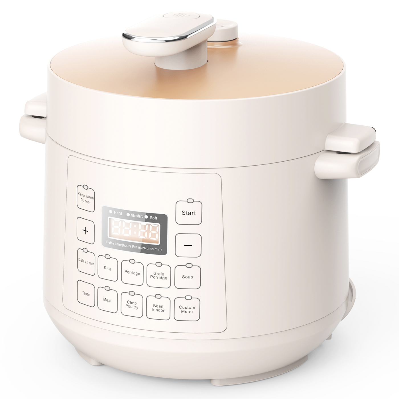 2.5L electric pressure cooker