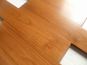 Robinia Floor (CT-XXV)