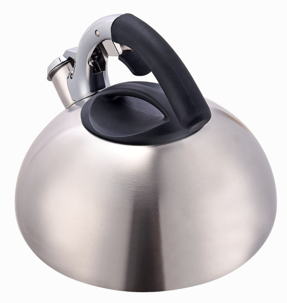 Induction Bottom Tea Pot Open Handle