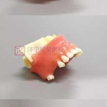 Sinus Lift Practice Model - Resin and Silicon