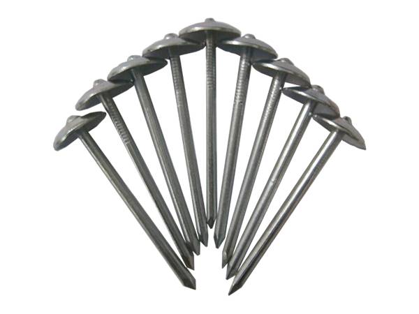 Perfect Durability Iron Nail Roofing Nail