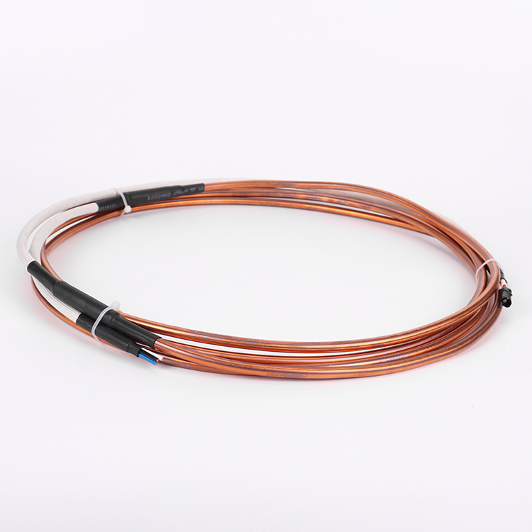 2 cores 4 cores 6 cores incl600 ss310 ss316 sheathed Mi cable for thermocouple probe