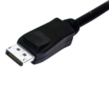 Display Port Cable?