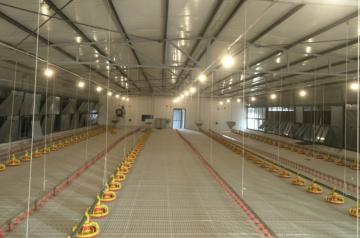 Auto. chicken pan feeder