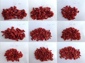 2014 crop Himalayan Certified Organic Goji berry