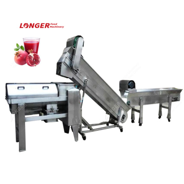 Pomegranate Aril Separator Machine
