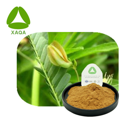 Nomame semaherb Cassia Nomame Extract Saponin Powder