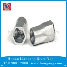 Fastener Small Head Inside & Outside Hexagon Revit Nut