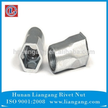 Fastener Small Head Inside & Outside Hexagon Revit Nut