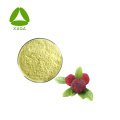 Extracto de corteza de Bayberry 80% Myricetin Powder Heper Health