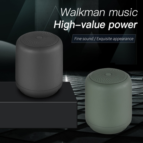 Tragbarer drahtloser Bluetooth-Mini-Lautsprecher mit FM-Radio