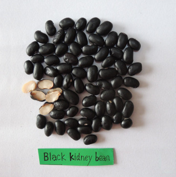supply black kidney beans