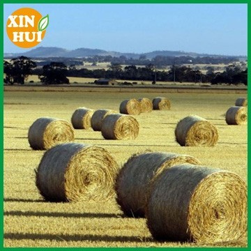 Round bale net / hay bale netting