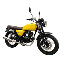 New Classic: Timeless Trends Reimagined