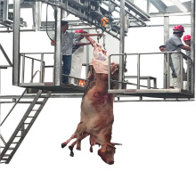 Automatic Cattle Slaughter Equipment for Beef/Veal Processing