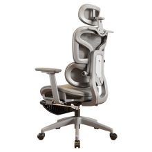 lumbar support computer chair