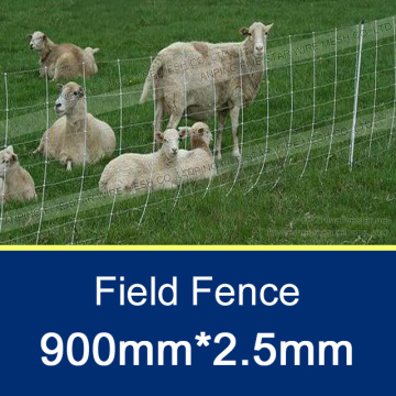 900mm Field Fence/2.5mm Heavy Zinc Coated Field Fence