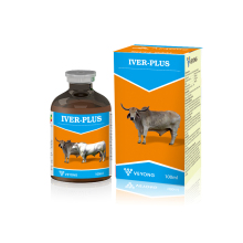Veterinary Medicine Ivermectin Injection 1%