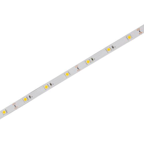 Promotion Price 5050 30leds/m led strip 12V / 24V