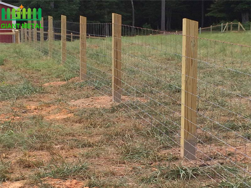 Hot Dipped Galvanized Farm Fence