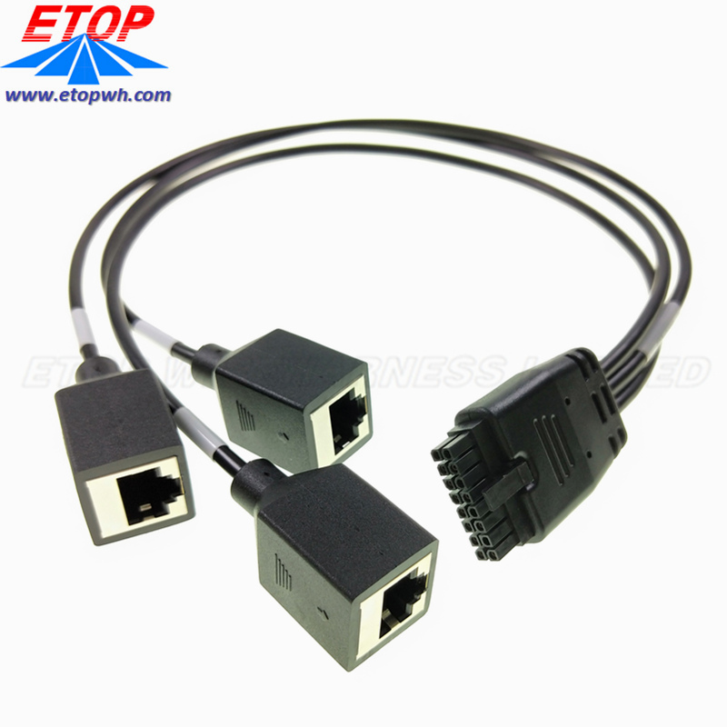 موصلات ذات ملاءمة صغيرة من طاقة Micro-To to 4in RJ45 JACK