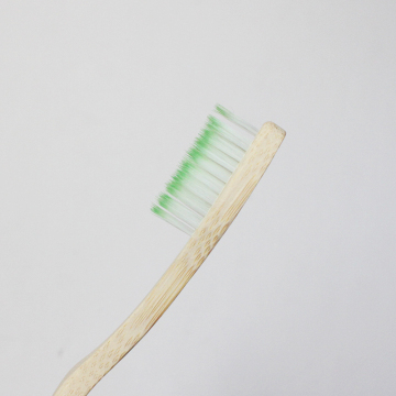 Creative Design of Bamboo Toothbrush