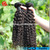 Wholesale Curly 100% Virgin Indian Remy Hair Extensions