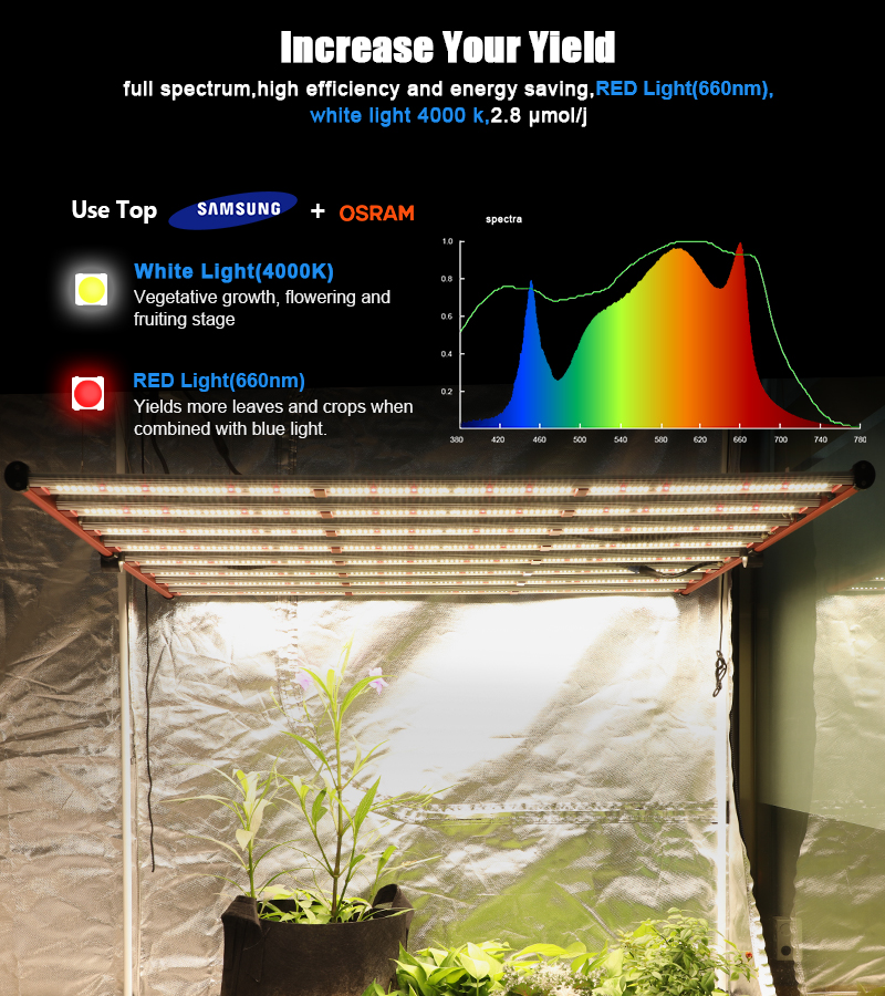 실내 수경 800W 전체 스펙트럼 LED가 빛을 발합니다