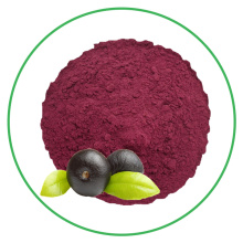 Food grade instant brazil acai berry extract powder