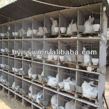 Poultry Cage, Chicken Cage, Rabbit Cage, Quial Cage, Pigeon Cage