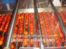 roller type vegetable washer