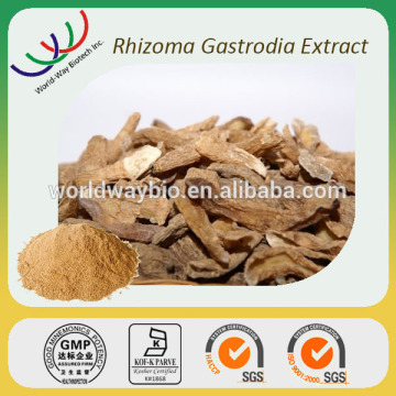 Relieve neurasthenia free sample FDA HACCP Kosher cGMP gastrodia elata extract gastrodia extract gastrodin extract 80%