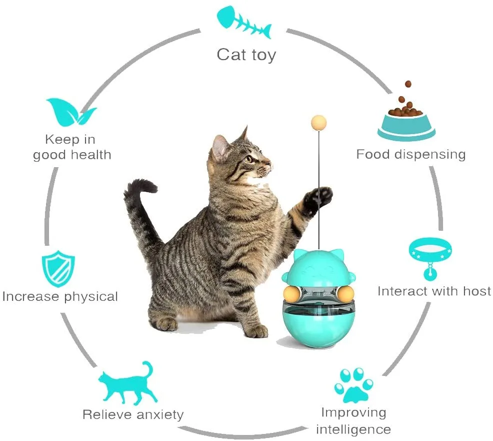 Pet Accessories Cat Training Food Bowl Cat Ball Toys Pet Toys