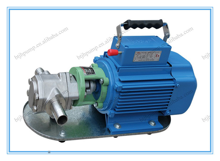 Single-phase 220V portable gear pump