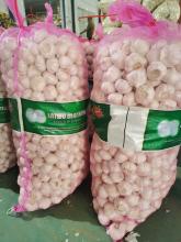 Chinese fresh garlic normal white pure white