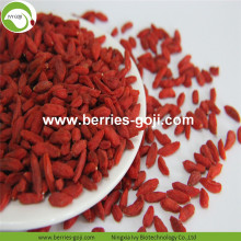 Factory Supply Frukter Torkad Premium Goji Berry