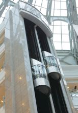 Full View Scenic Passenger Elevator