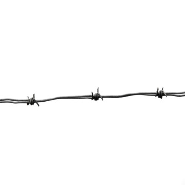 2.5mm Glavanized Barbed Wire 4-points