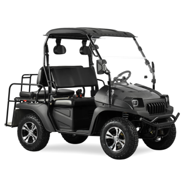 Последний стиль снабжения OEM UTV